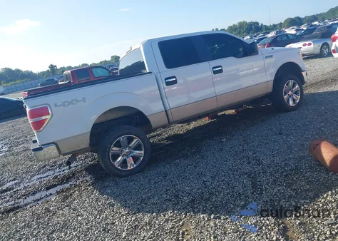 2009 Ford F-150 Fx4/King Ranch/Lariat/Platinum/Xl/Xlt z USA, uszkodzony, nr VIN 1FTPW14V79KC93700